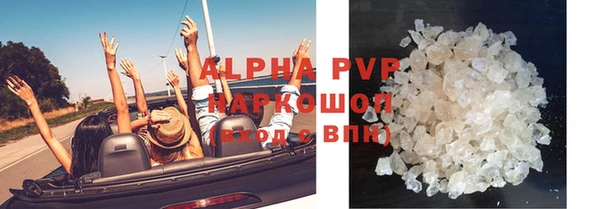 индика Гусиноозёрск