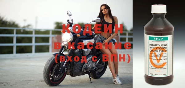 индика Гусиноозёрск