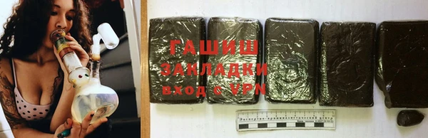 индика Гусиноозёрск