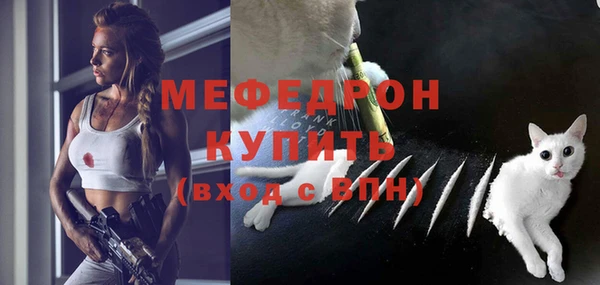 индика Гусиноозёрск