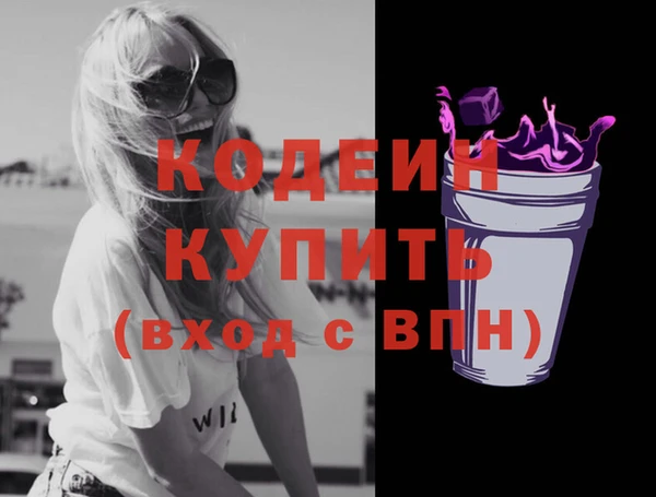 индика Гусиноозёрск