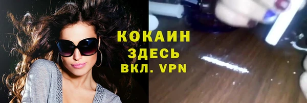 мяу мяу мука Гусь-Хрустальный