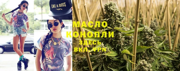 мяу мяу мука Гусь-Хрустальный