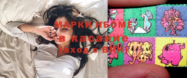 индика Гусиноозёрск