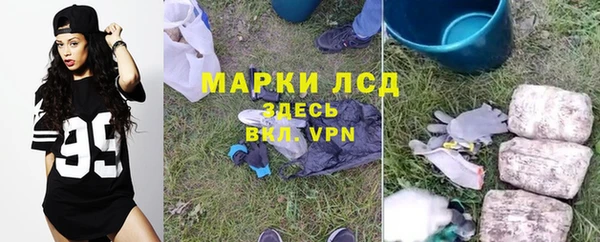 мяу мяу мука Гусь-Хрустальный