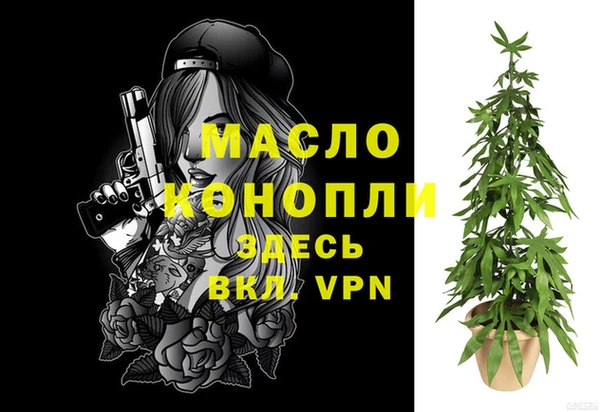 мяу мяу мука Гусь-Хрустальный