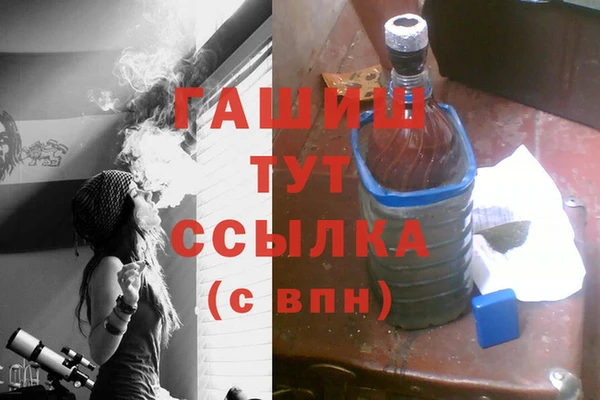 индика Гусиноозёрск