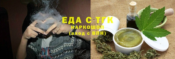 индика Гусиноозёрск